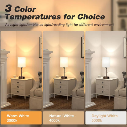 Dicoool Bedside Table Lamp for Bedroom - Small Desk Lamp with USB Ports