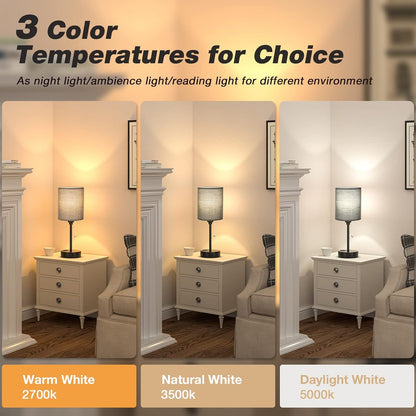 Dicoool Bedside Table Lamp for Bedroom - Small Desk Lamp with USB Ports