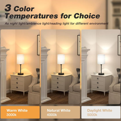 Dicoool Bedside Table Lamp for Bedroom - Small Desk Lamp with USB Ports