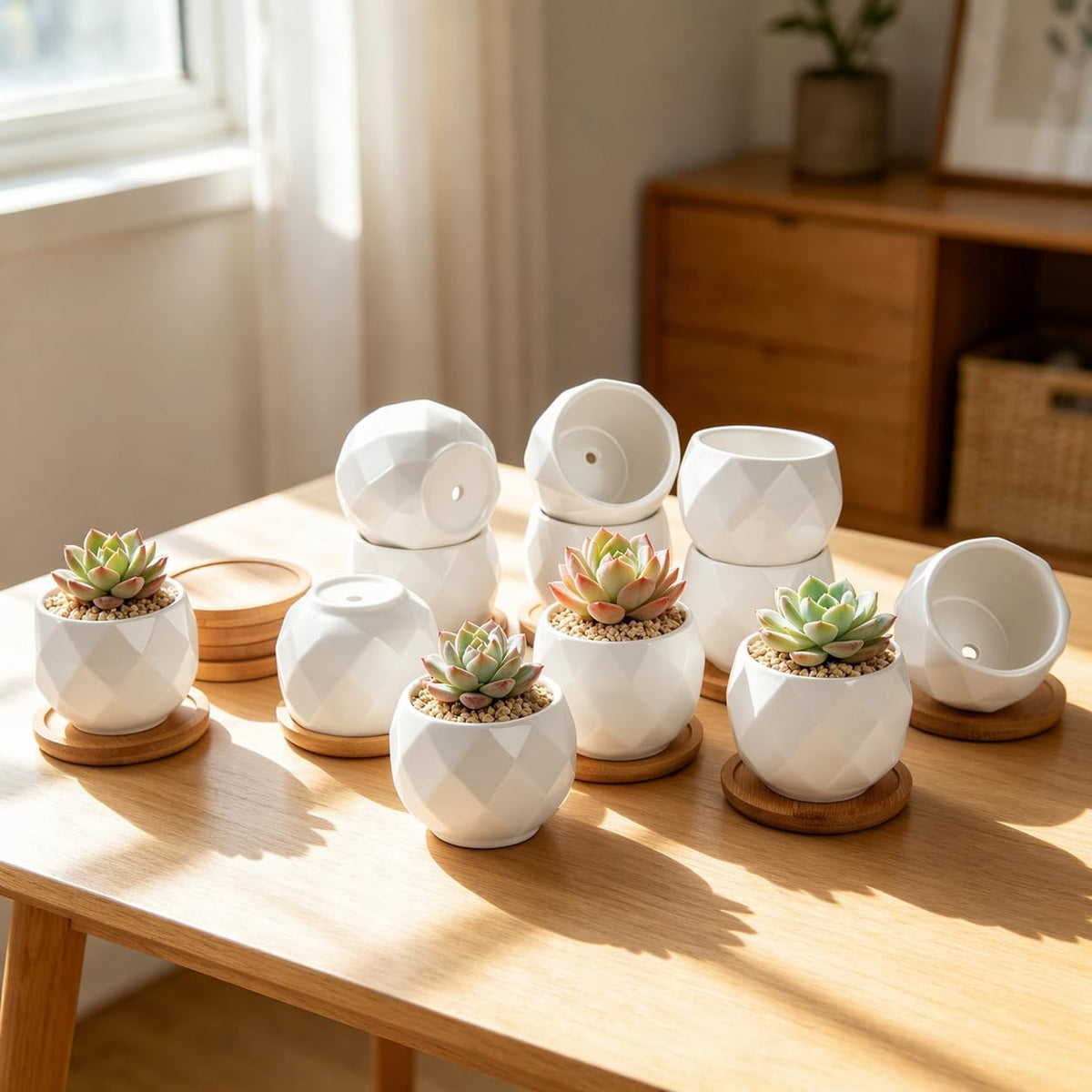 12 Pack 2.5" Square Ceramic Succulent Pots with Bamboo Tray