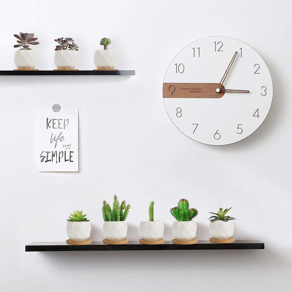 12 Pack 2.5" Square Ceramic Succulent Pots with Bamboo Tray