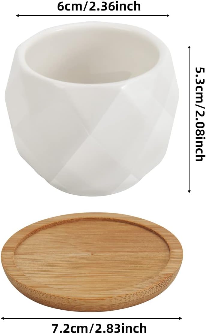 12 Pack 2.5" Square Ceramic Succulent Pots with Bamboo Tray