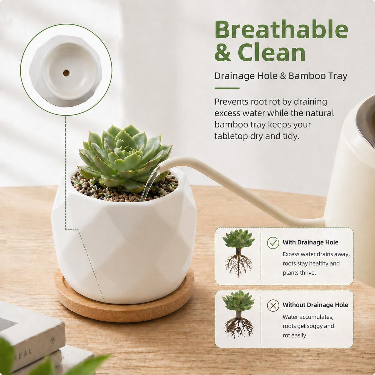 12 Pack 2.5" Square Ceramic Succulent Pots with Bamboo Tray