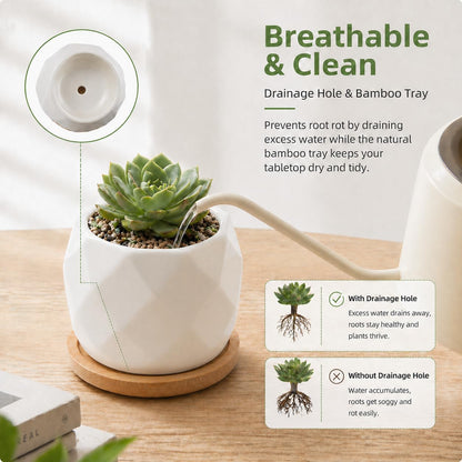 12 Pack 2.5" Square Ceramic Succulent Pots with Bamboo Tray