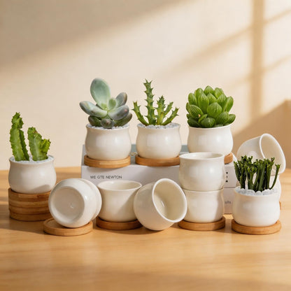 12 Pack 2.5" Square Ceramic Succulent Pots with Bamboo Tray
