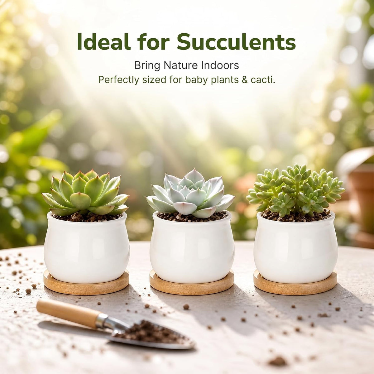 12 Pack 2.5" Square Ceramic Succulent Pots with Bamboo Tray