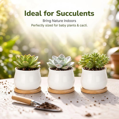 12 Pack 2.5" Square Ceramic Succulent Pots with Bamboo Tray