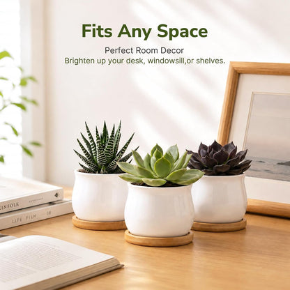 12 Pack 2.5" Square Ceramic Succulent Pots with Bamboo Tray
