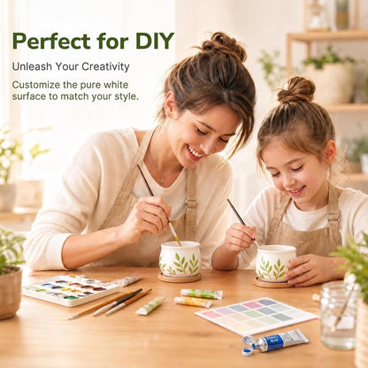 12 Pack 2.5" Square Ceramic Succulent Pots with Bamboo Tray