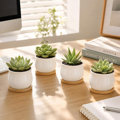 12 Pack 2.5" Square Ceramic Succulent Pots with Bamboo Tray