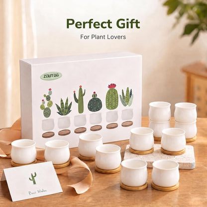 12 Pack 2.5" Square Ceramic Succulent Pots with Bamboo Tray