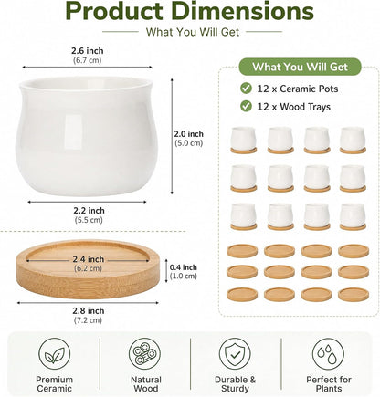 12 Pack 2.5" Square Ceramic Succulent Pots with Bamboo Tray