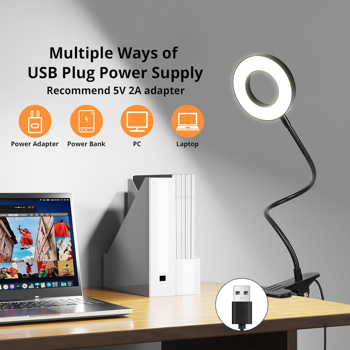 Desk Lamp Clip on Light for Bed Book Reading (Black)