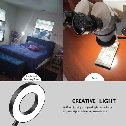 Desk Lamp Clip on Light for Bed Book Reading (Black)