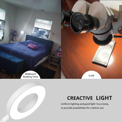 Desk Lamp Clip on Light for Bed Book Reading (Black)