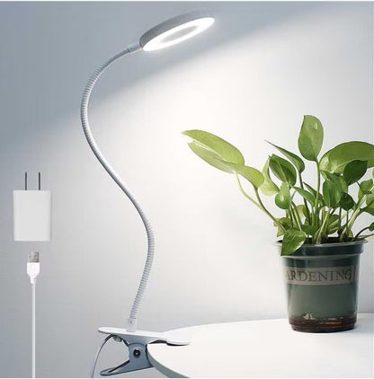 Desk Lamp Clip on Light for Bed Book Reading (Black)
