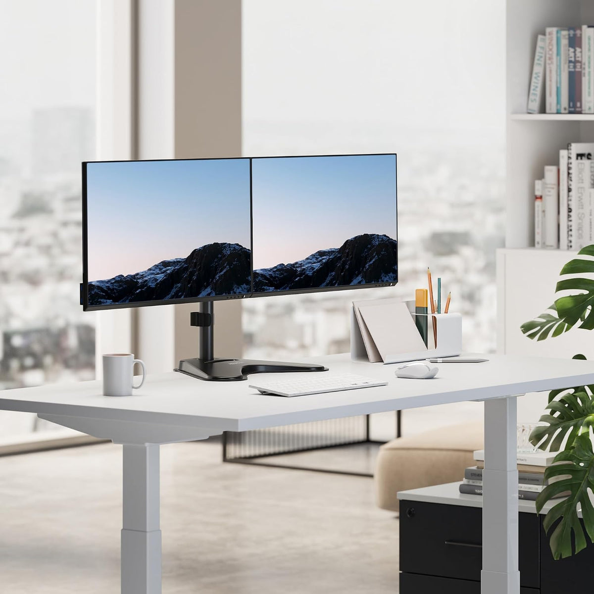 ! Dual Monitor Desk Stand Mount for 2 Screens VESA 75x75 & 100x100