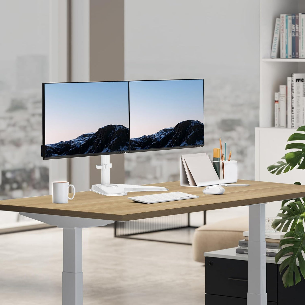 ! Dual Monitor Desk Stand Mount for 2 Screens VESA 75x75 & 100x100