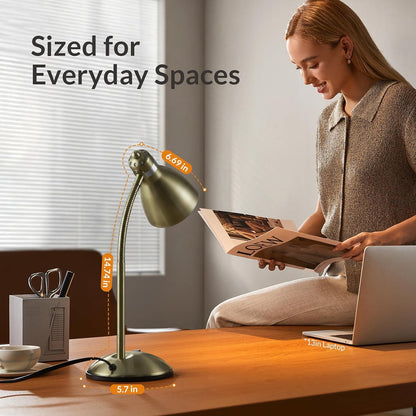 Metal Desk Lamp, Adjustable GooseNeck Reading Light for Bedroom