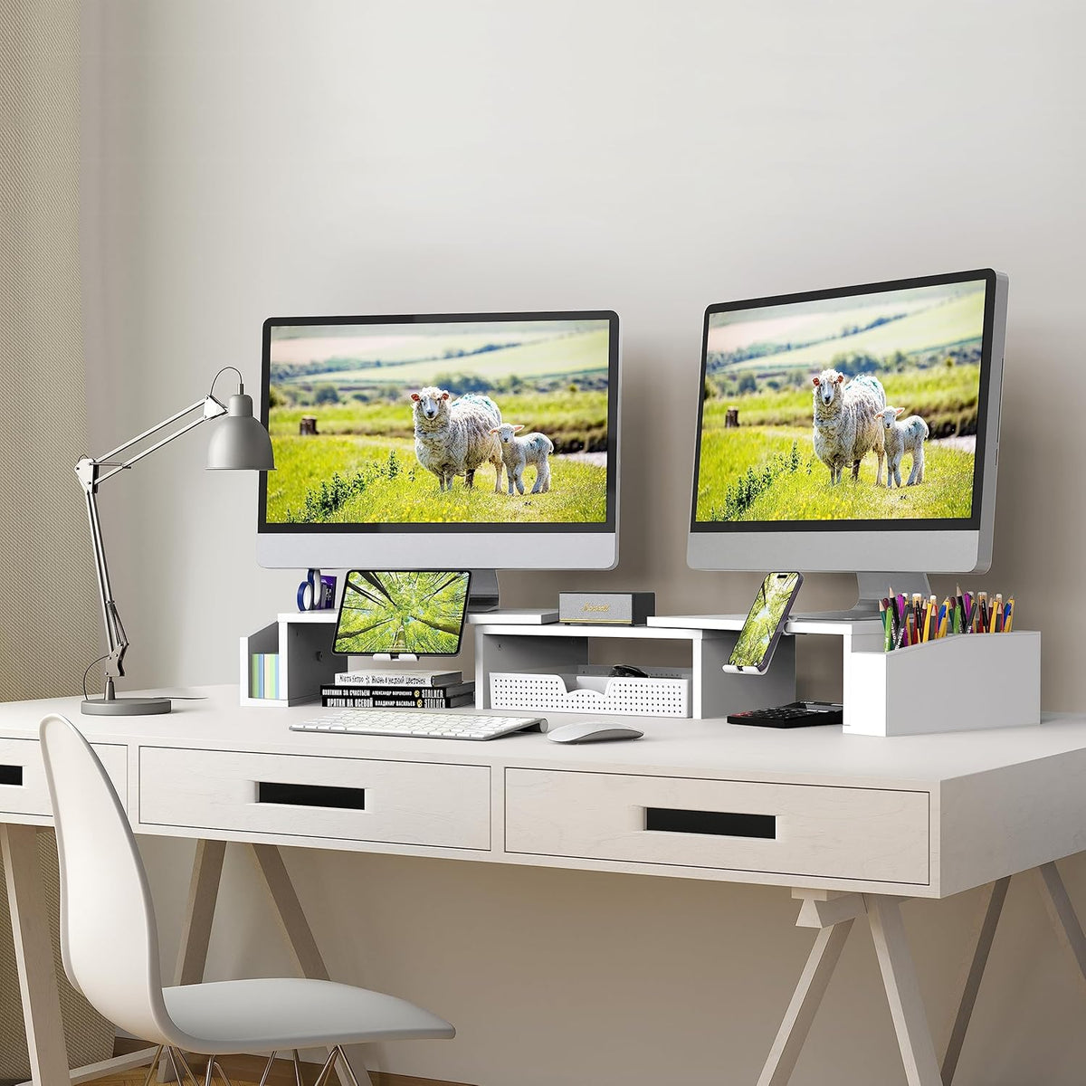 Desk Dual Monitor Stand Riser with Drawer, Black
