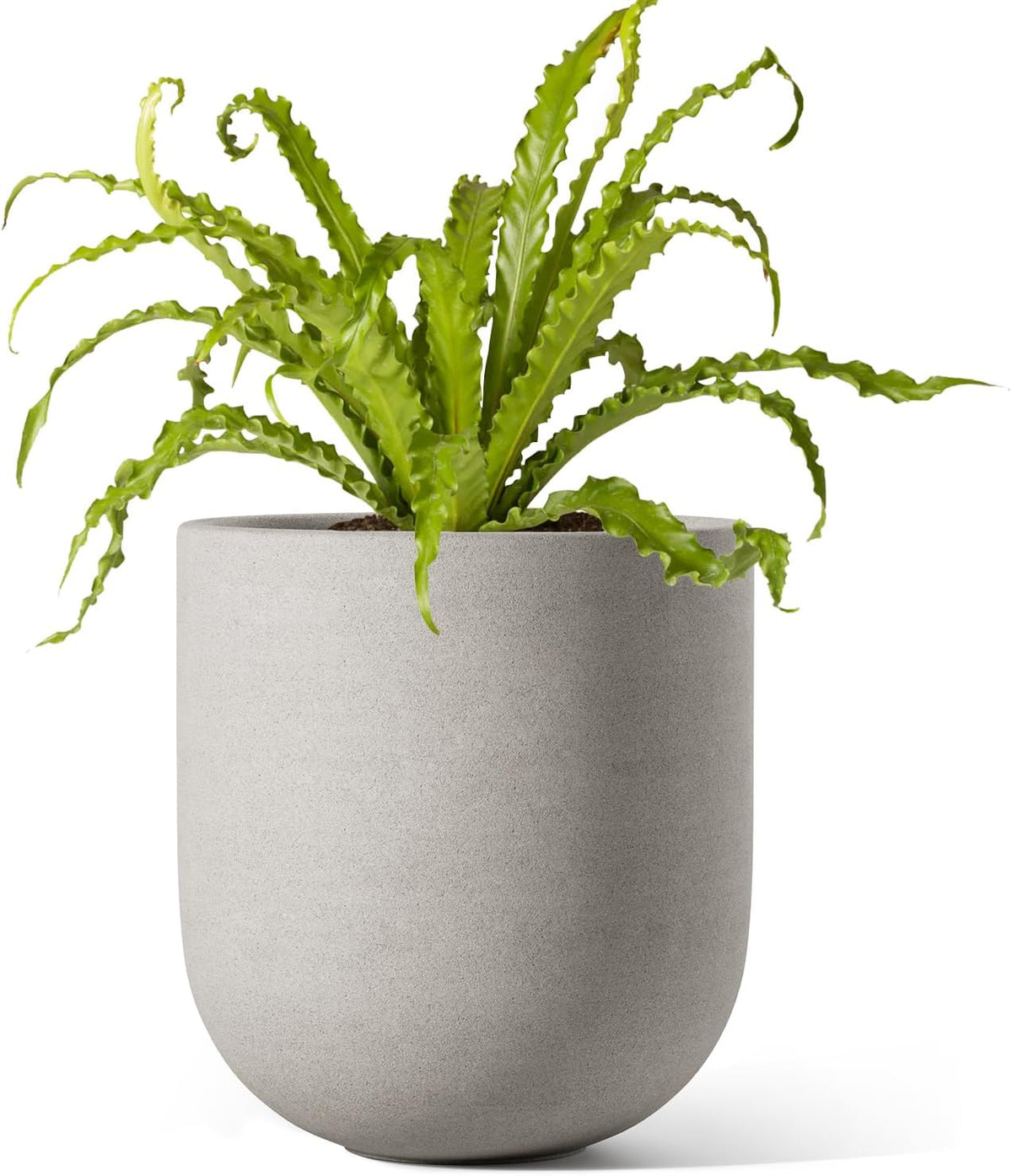 6 Inch Ceramic Plant Pot, Small Indoor Planter, Neutral Gray