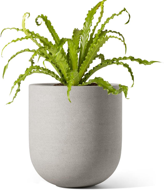 6 Inch Ceramic Plant Pot, Small Indoor Planter, Neutral Gray