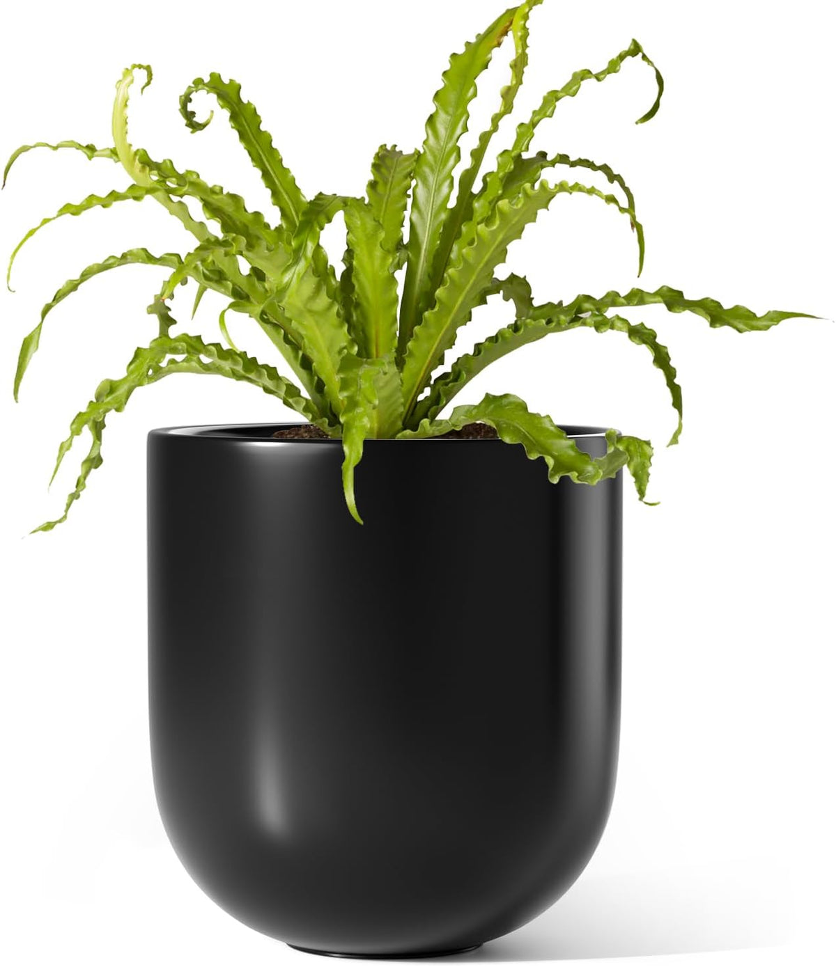 6 Inch Ceramic Plant Pot, Small Indoor Planter, Neutral Gray