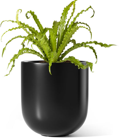 6 Inch Ceramic Plant Pot, Small Indoor Planter, Neutral Gray