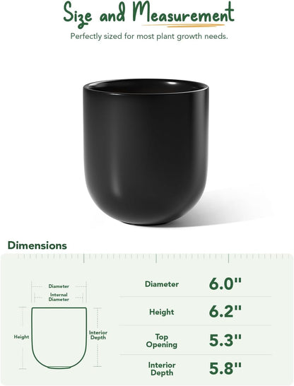 6 Inch Ceramic Plant Pot, Small Indoor Planter, Neutral Gray