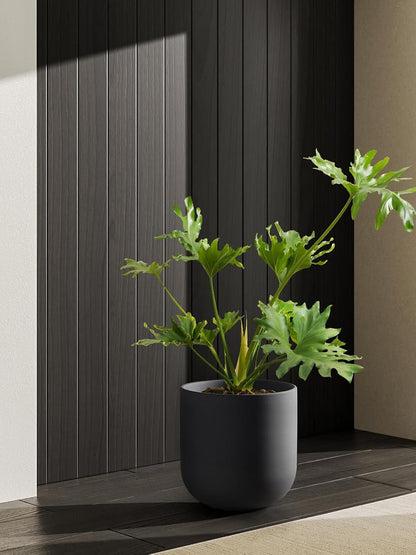 6 Inch Ceramic Plant Pot, Small Indoor Planter, Neutral Gray