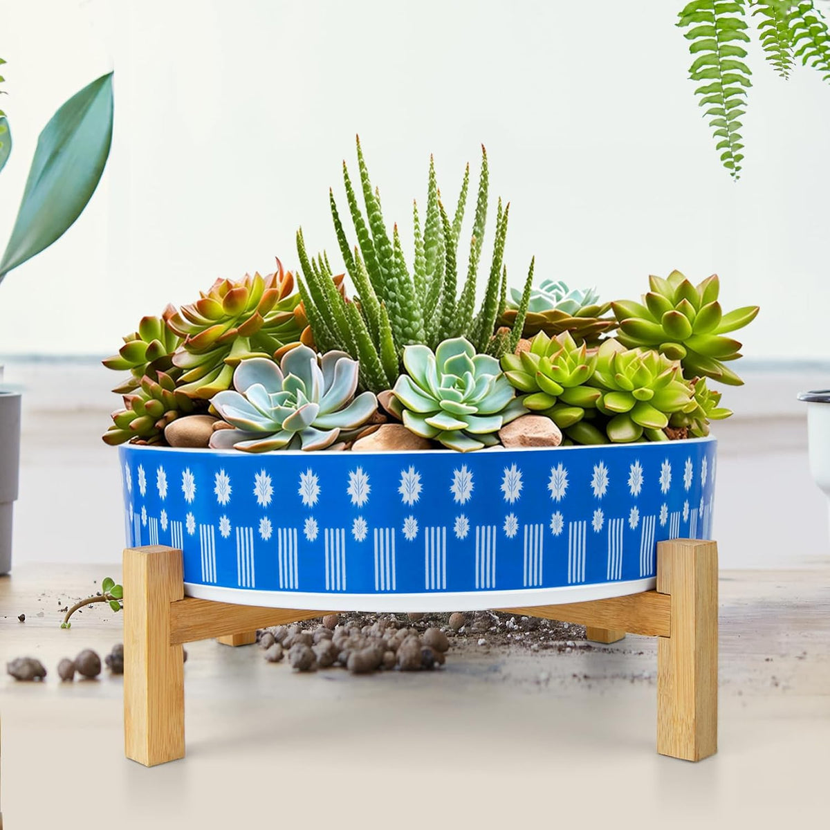 Succulent Pots, 11 Inch Large Plant Pots Ceramic Bonsai Pots with Drainage