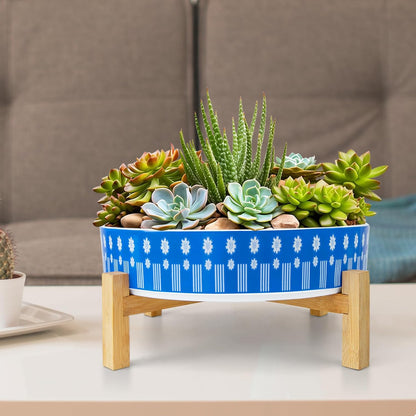 Succulent Pots, 11 Inch Large Plant Pots Ceramic Bonsai Pots with Drainage