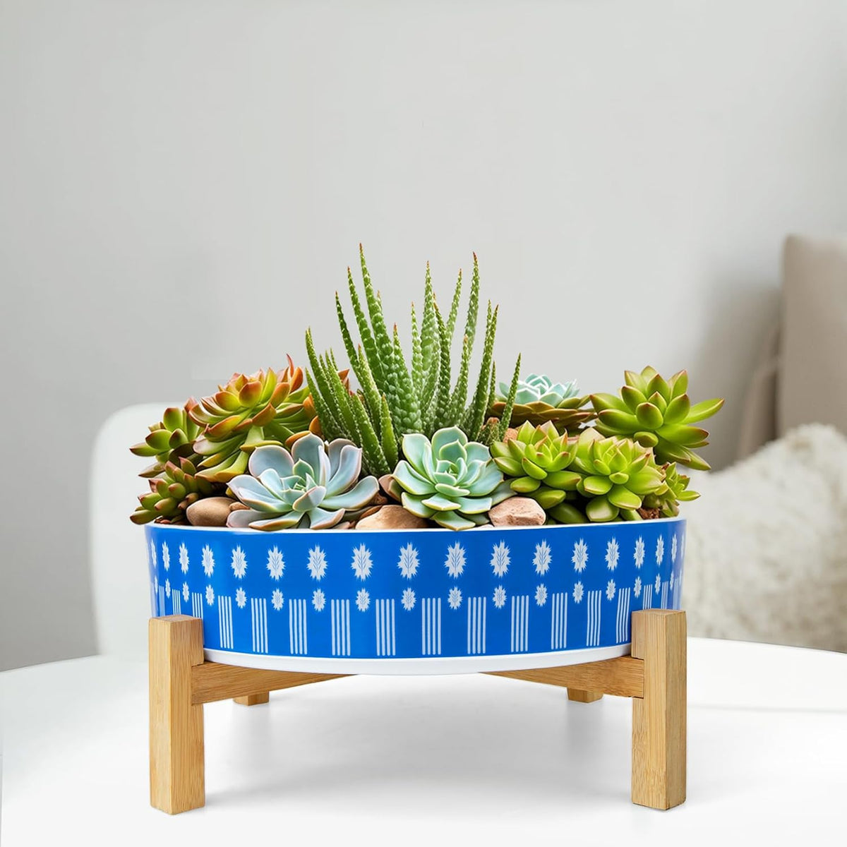 Succulent Pots, 11 Inch Large Plant Pots Ceramic Bonsai Pots with Drainage