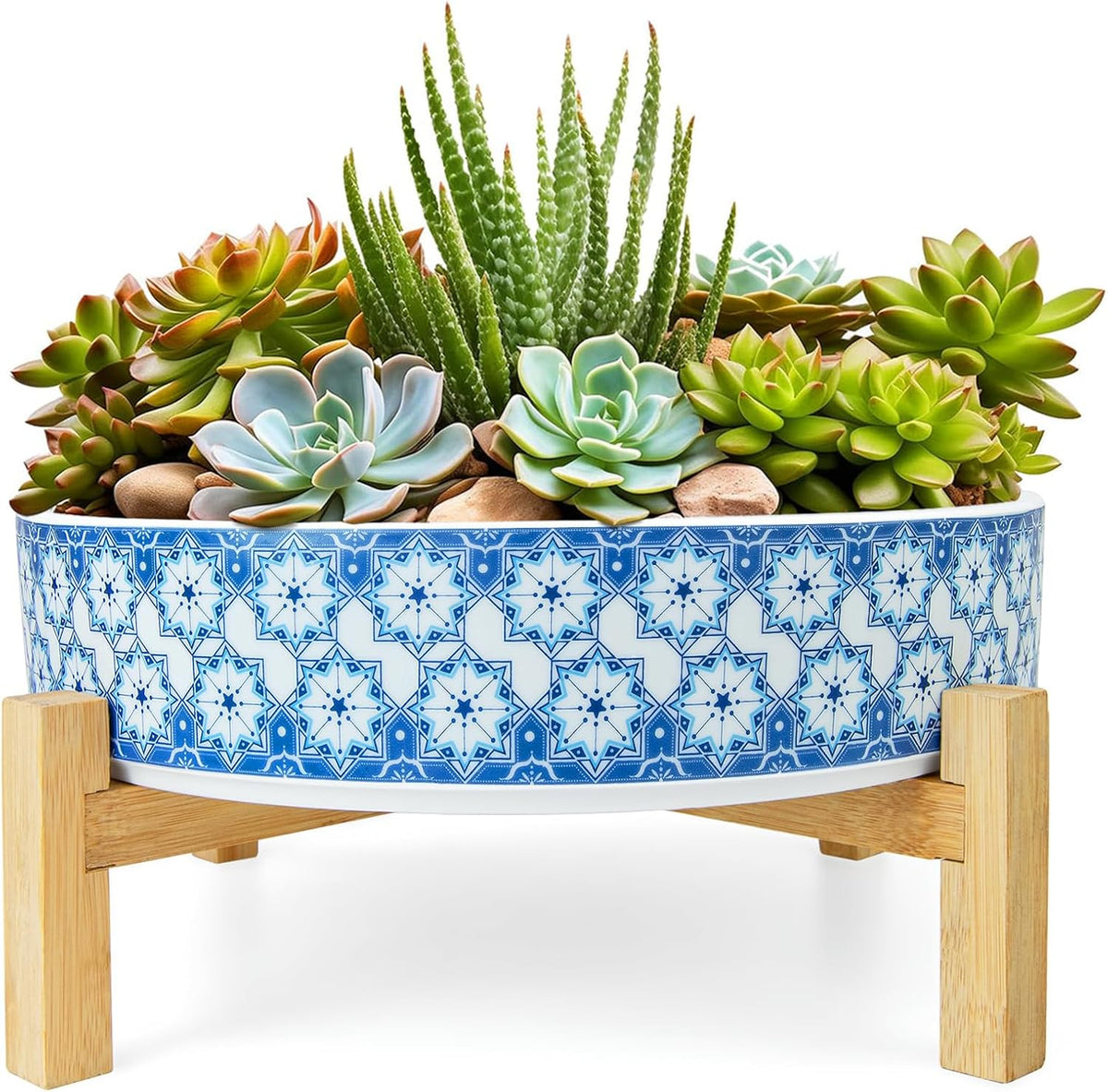 Succulent Pots, 11 Inch Large Plant Pots Ceramic Bonsai Pots with Drainage