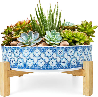 Succulent Pots, 11 Inch Large Plant Pots Ceramic Bonsai Pots with Drainage