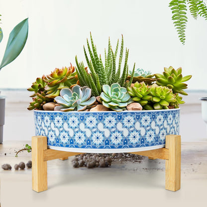 Succulent Pots, 11 Inch Large Plant Pots Ceramic Bonsai Pots with Drainage