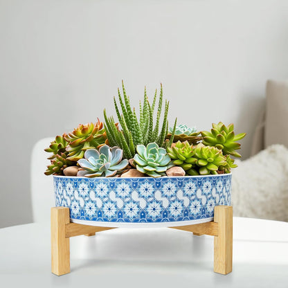 Succulent Pots, 11 Inch Large Plant Pots Ceramic Bonsai Pots with Drainage