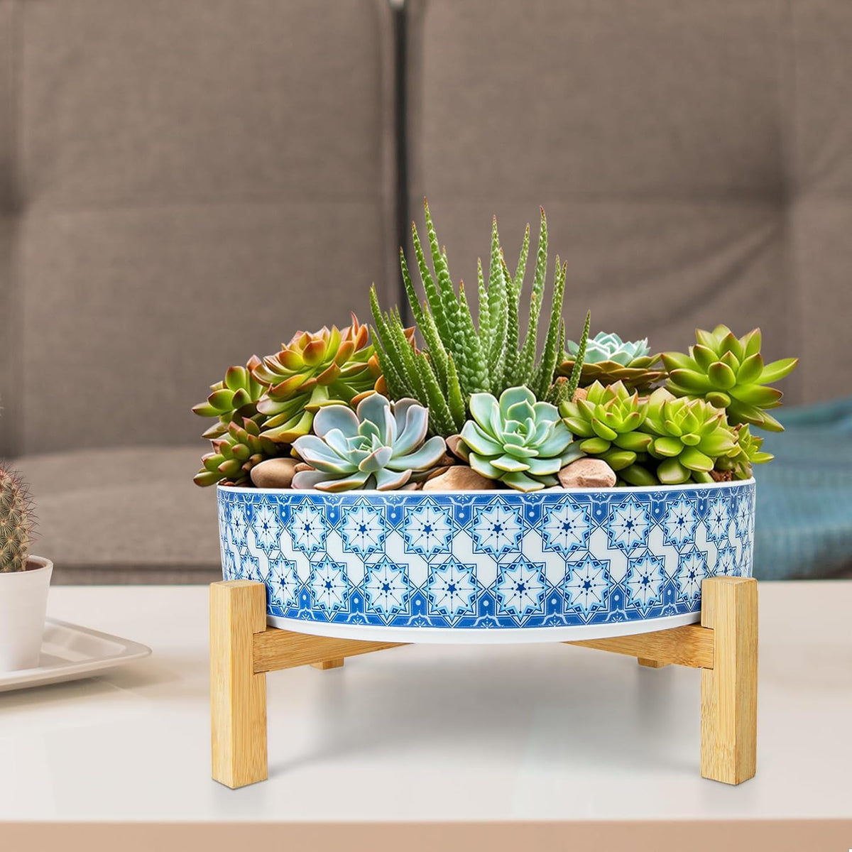Succulent Pots, 11 Inch Large Plant Pots Ceramic Bonsai Pots with Drainage
