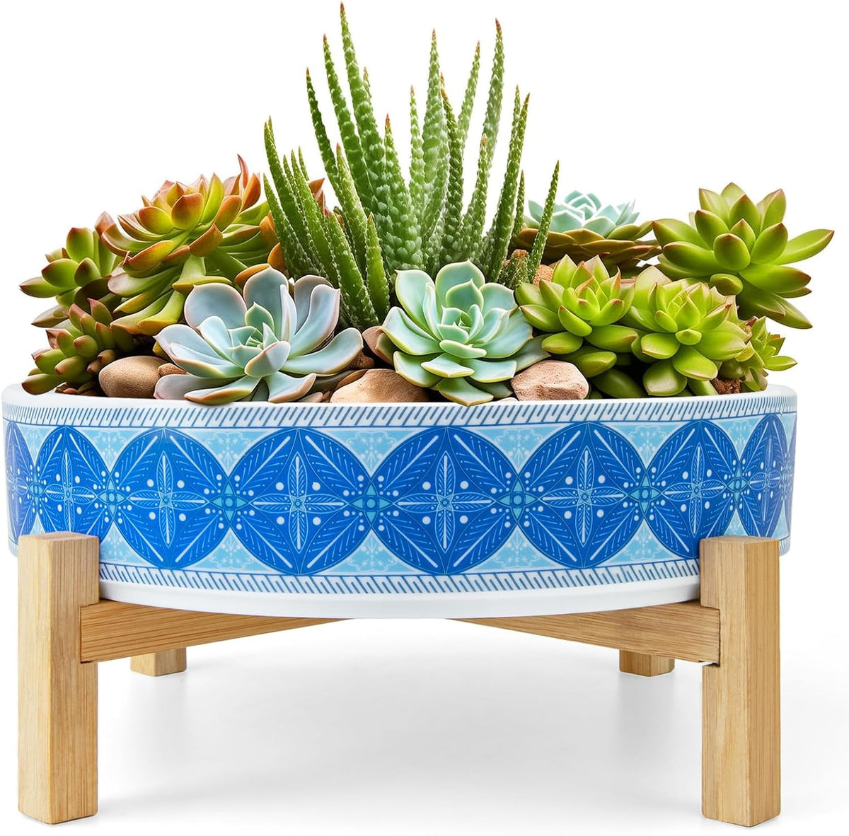 Succulent Pots, 11 Inch Large Plant Pots Ceramic Bonsai Pots with Drainage