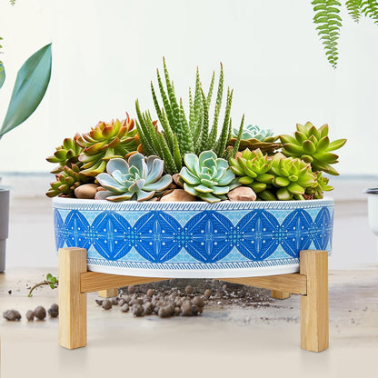 Succulent Pots, 11 Inch Large Plant Pots Ceramic Bonsai Pots with Drainage