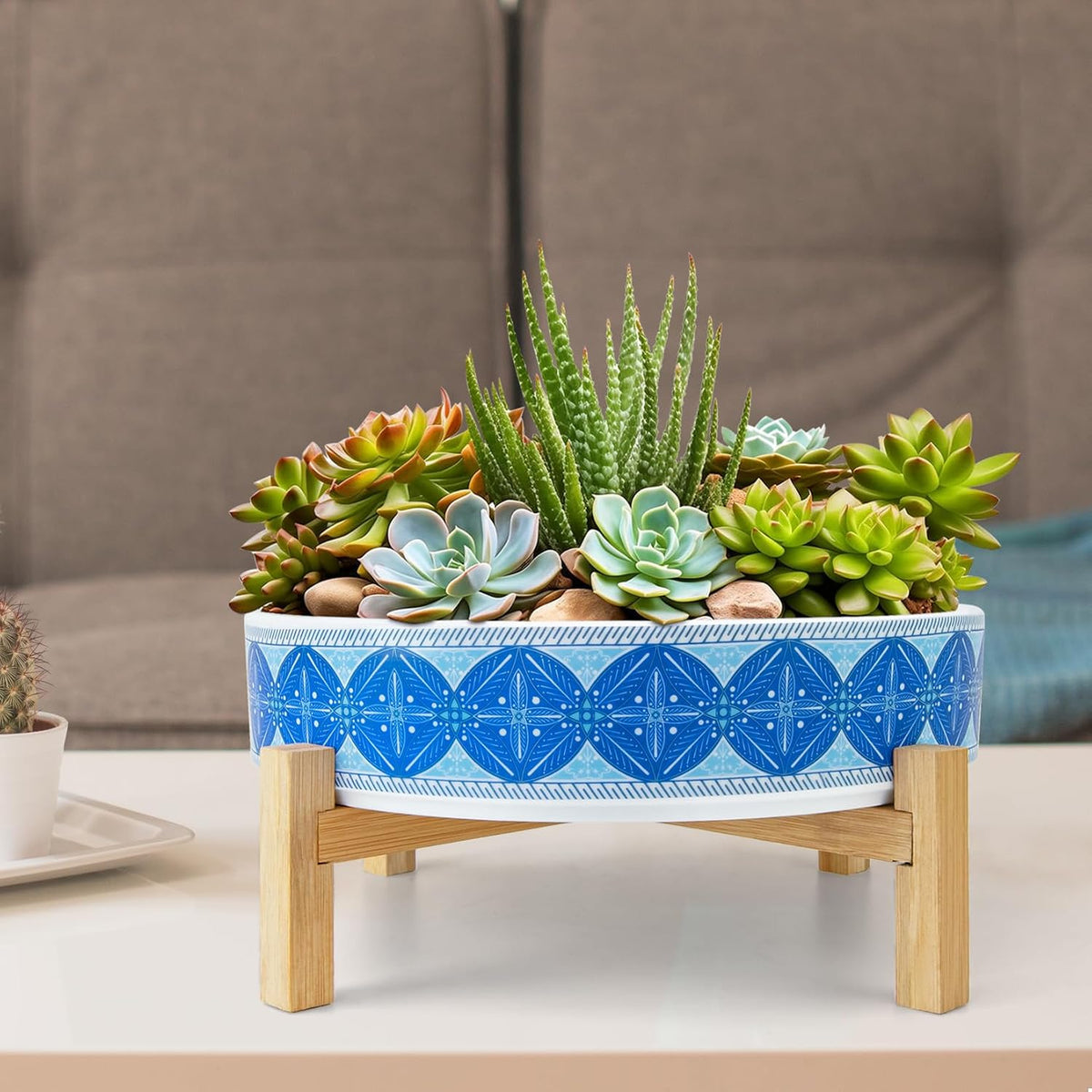 Succulent Pots, 11 Inch Large Plant Pots Ceramic Bonsai Pots with Drainage