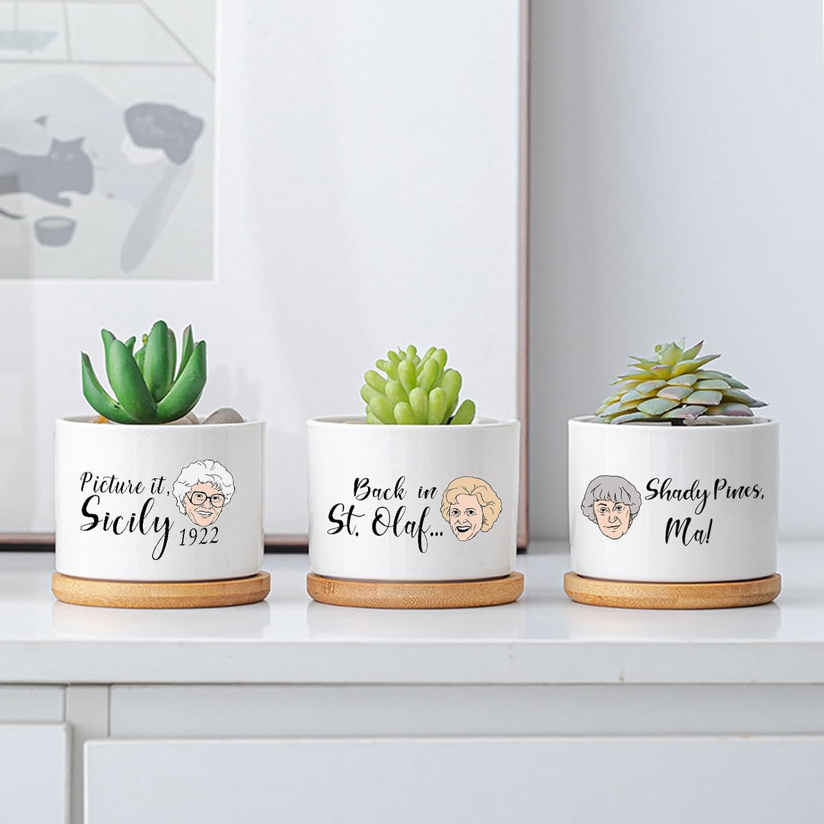 Golden Girls Merchandise - Funny Succulent Pots Set of 4, Golden Girls Gifts for Women, Ceramic Mini Cute Planters with Bamboo Tray for Office Desk Indoor Decorations