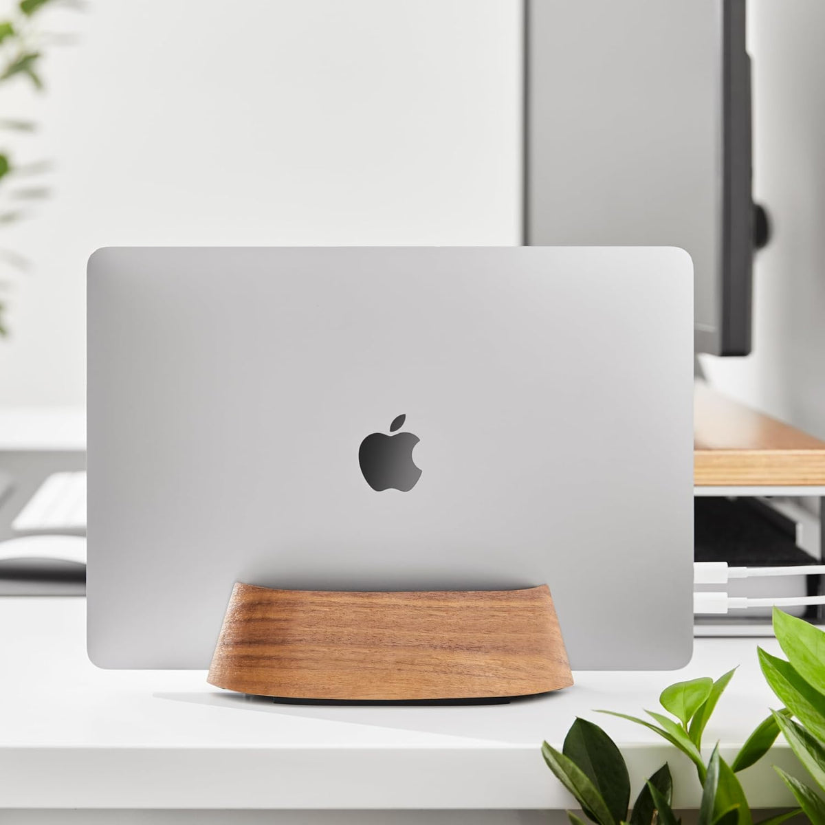 Vertical Laptop Stand in Black Walnut Wood, Adjustable