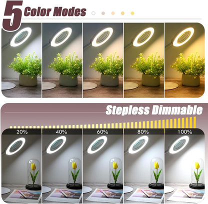 10X Magnifying Glass with Light and Stand, 5 Color Modes Stepless Dimmable LED Lighted Desk Lamp, Hands Free Magnifier with Flexible Goose-Neck for Craft Hobby Painting Sewing Close Work