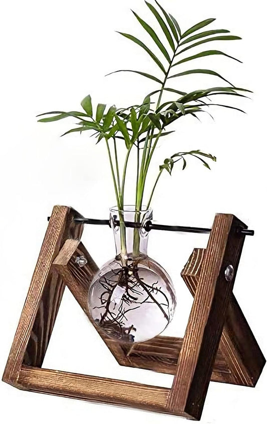 Plant Propagation Station Bulb Vase, 1 Bulb Vase