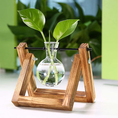 Plant Propagation Station Bulb Vase, 1 Bulb Vase