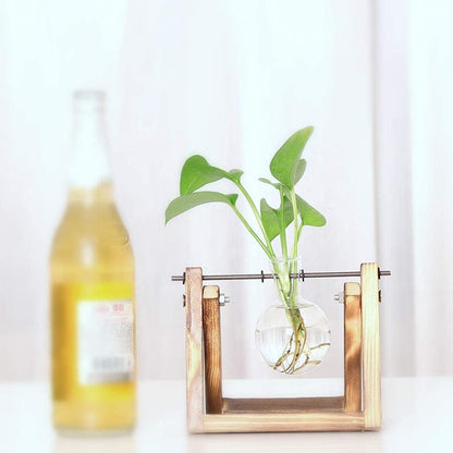 Plant Propagation Station Bulb Vase, 1 Bulb Vase