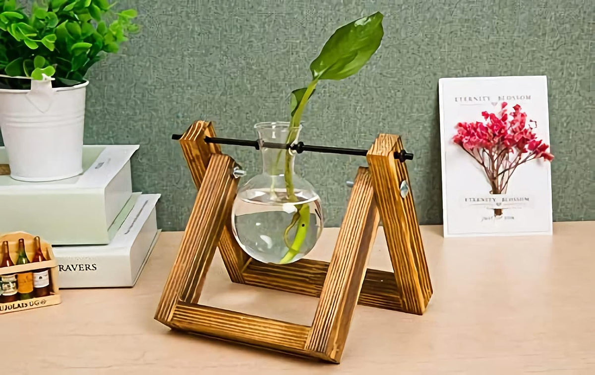 Plant Propagation Station Bulb Vase, 1 Bulb Vase