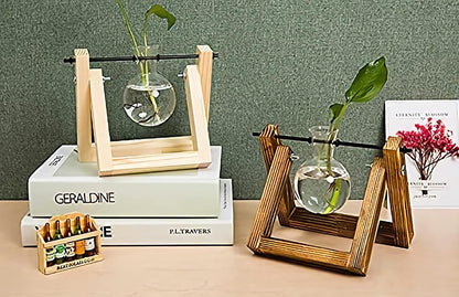 Plant Propagation Station Bulb Vase, 1 Bulb Vase