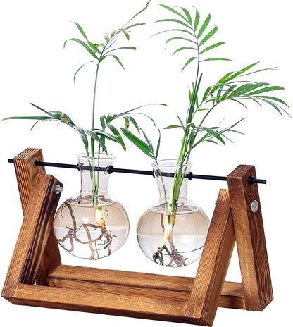 Plant Propagation Station Bulb Vase, 1 Bulb Vase